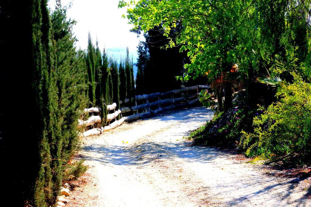 Cortijo De La Media Luna Mojácar Exteriér fotografie